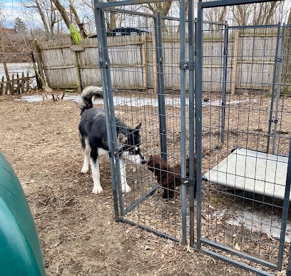 UnCommon Canine Academy