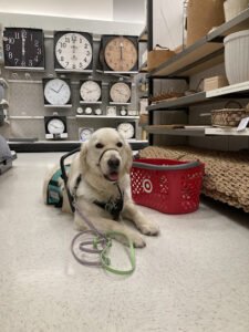 Ruff Translating