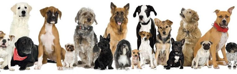 East Longmeadow Dog Obedience Training Club