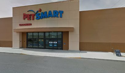 PetSmart Dog Training