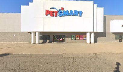 PetSmart Dog Training