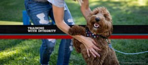 D & D Dog Dynamics Training Center