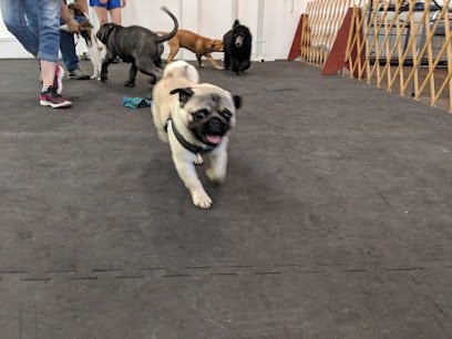 Obedience Training Club of Greater Lansing