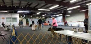 Companion Dog Training Club