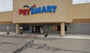 PetSmart Dog Training
