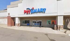 PetSmart Dog Training