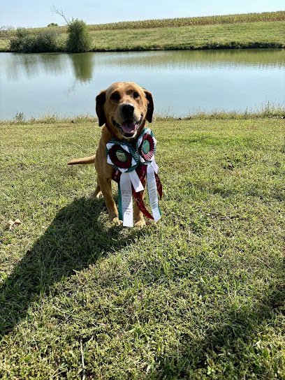 To Hand Retrievers LLC