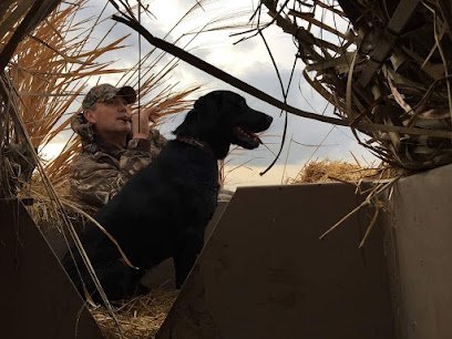 Reaction Retrievers, LLC