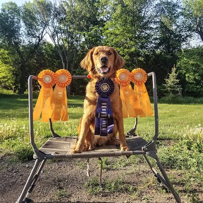 River bottom dog training
