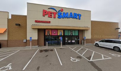 PetSmart Dog Training