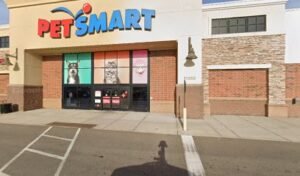 PetSmart Dog Training