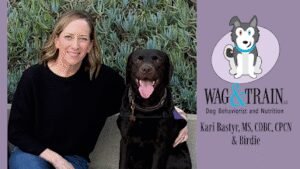 Wag & Train Dog Behaviorist and Nutrition