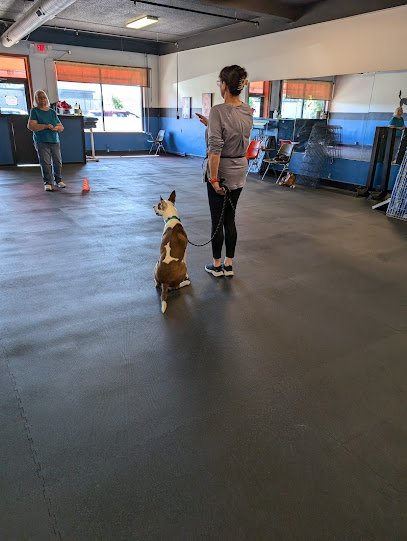 The Canine Coach – St Louis Park