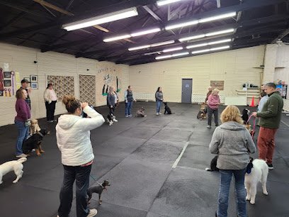Total Recall School for Dogs