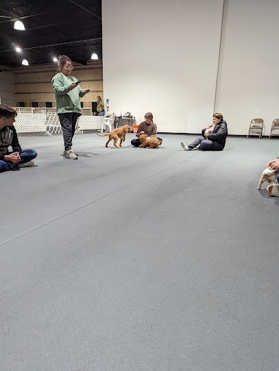 Cloud Nine Training School for Dogs
