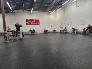 All Breed Obedience & Behavioral