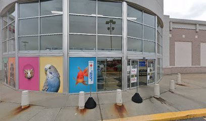 PetSmart Dog Training