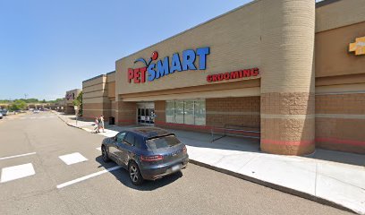 PetSmart Dog Training