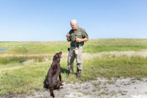 Bracken Fen Gundogs