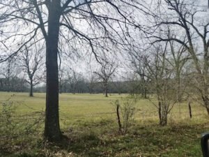 Blue Ribbon Kennels