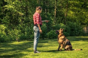 K-9 Training Center