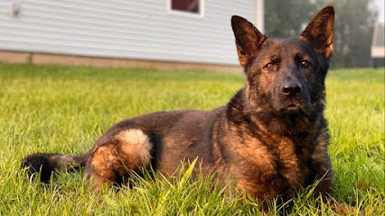 Arch City K9