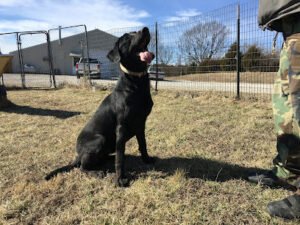 Lafollette K-9 Training Center