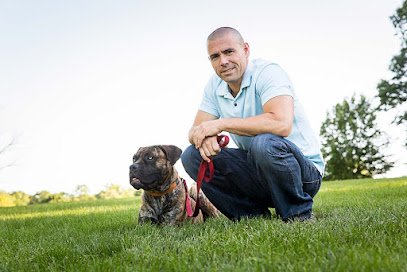 Beyond the Dog, LLC