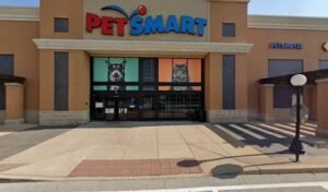 PetSmart Dog Training