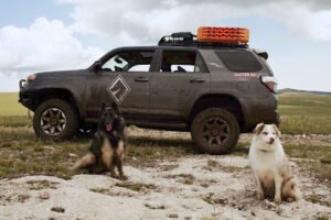Cross Tier K9 LLC