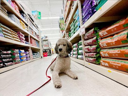 Bigfork Dog Training