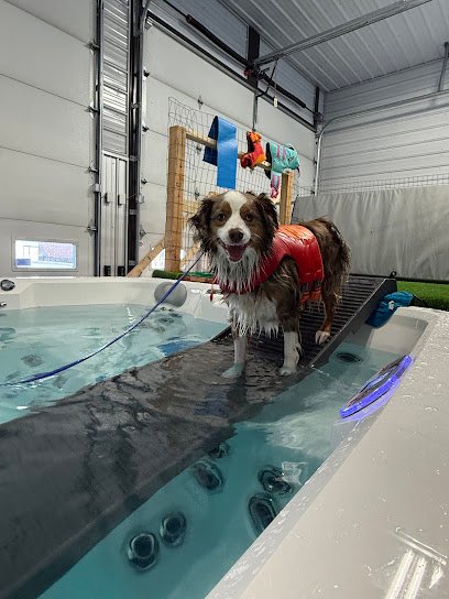 Billings K9 Coaching