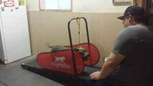 Dragorra Training Center