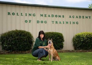 Rolling Meadows Academy of Dog Training