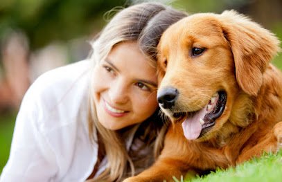 In Relation With Dogs – Behavior and Training Solutions