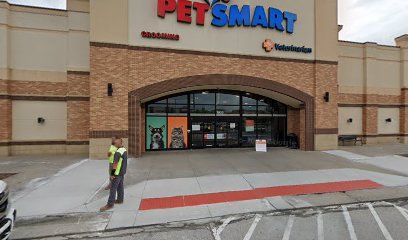 PetSmart Dog Training