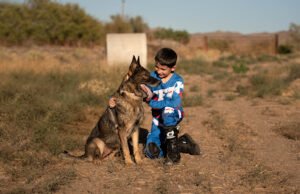 Evolved K9 Training