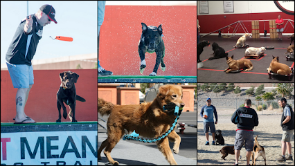 Sit Means Sit Dog Training – Corporate Office