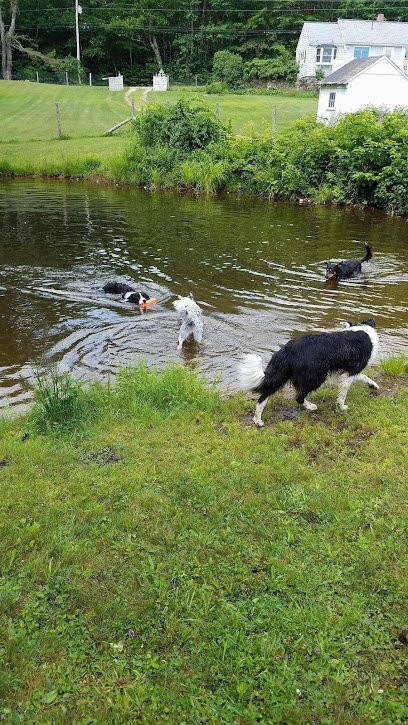 Dee Ganley Dog Training Services