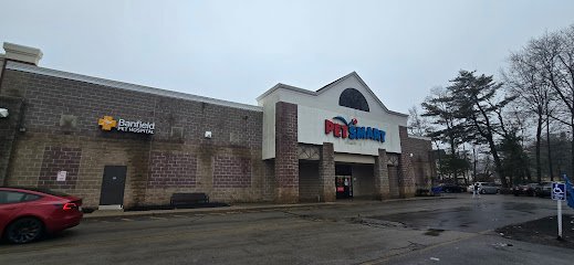 PetSmart Dog Training