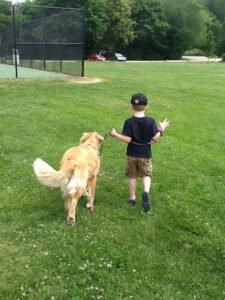 Gilford’s Golden Guardians