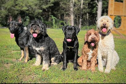 First Choice Canine