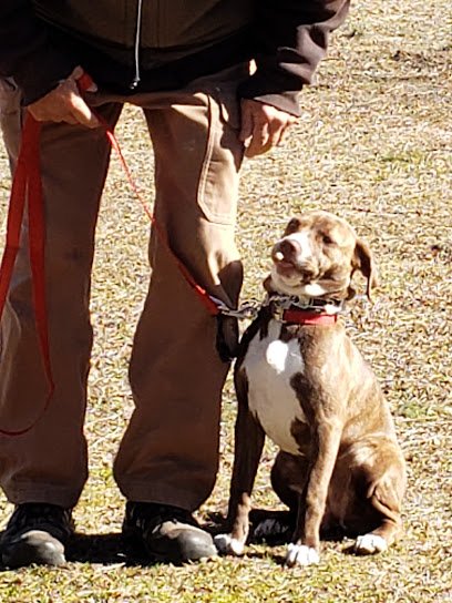 J Mac K-9 Dog Training