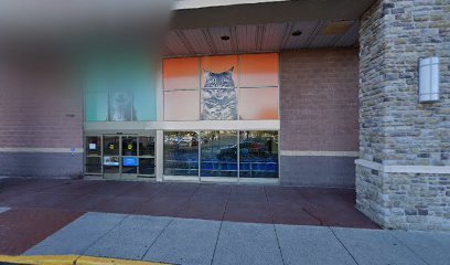 PetSmart Dog Training