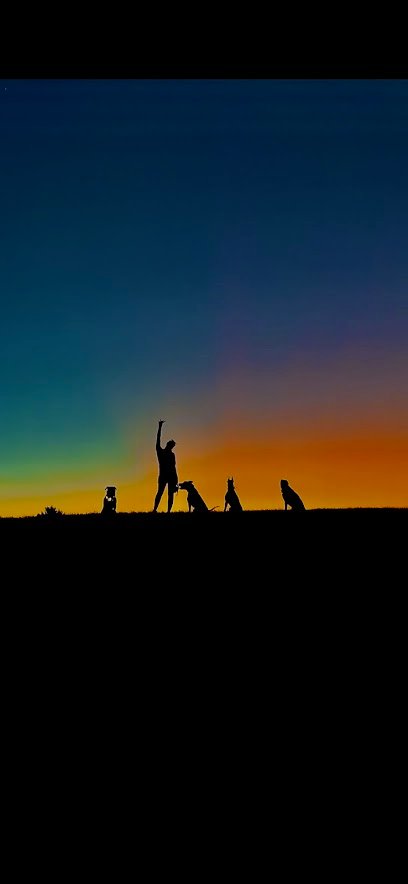 Complete K9 Services