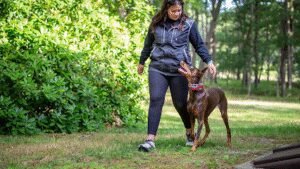 Fiercely Loyal K-9, LLC. | Ocean County, New Jersey