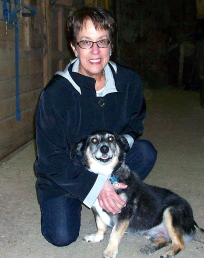 The Jersey Dog Trainer