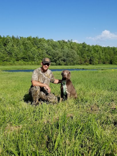 Guns Up Dog Training