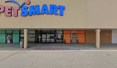PetSmart Dog Training