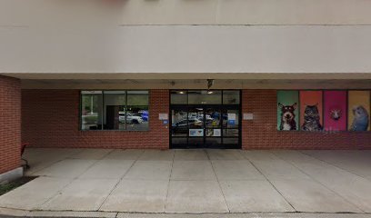 PetSmart Dog Training
